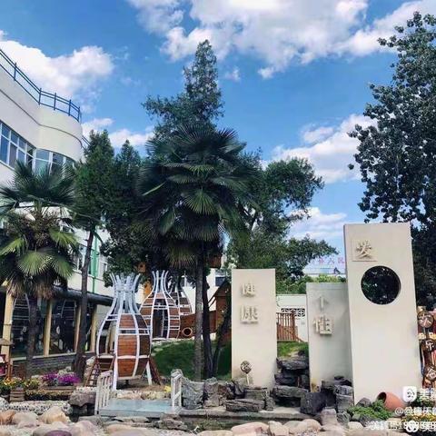 【抗疫在线】巾帼担当 “疫”路芳华（五）