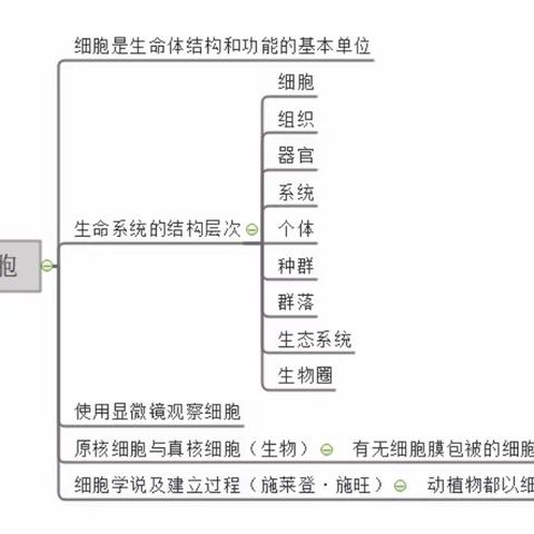 生物思维导图