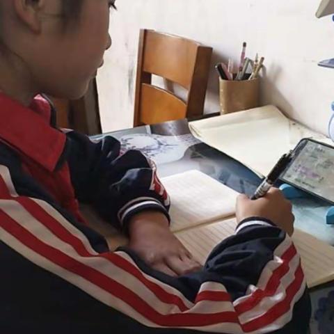 四年级二班第12周线上学习总结