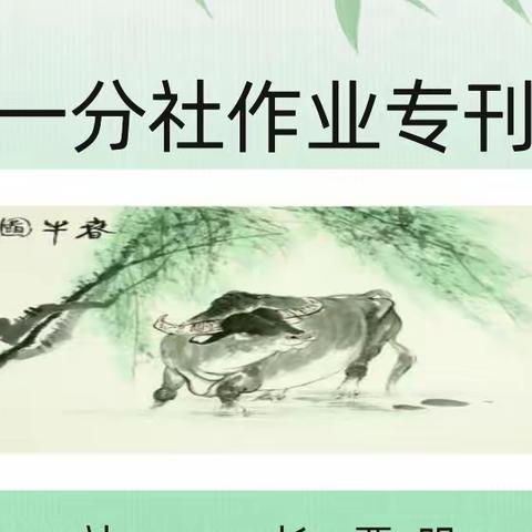 龙风文化发展中心第五文学社一分社第十二期第十八次作业刊【一】