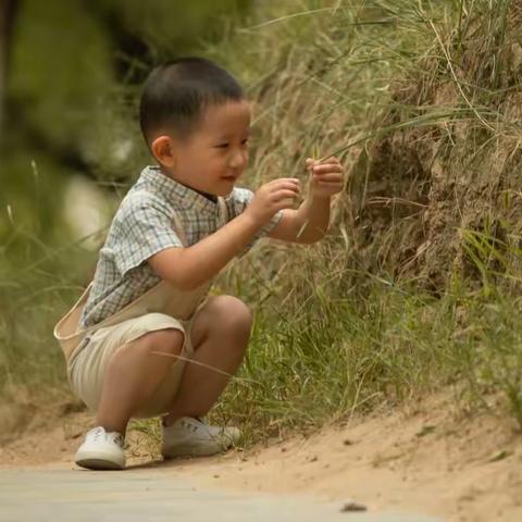 阅读是我的最爱