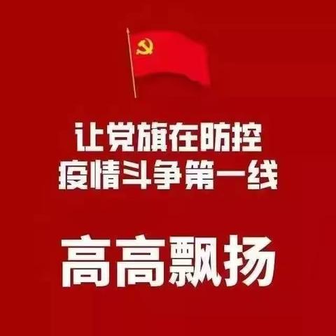 奔走抗疫第一线 做最美电力“逆行者”