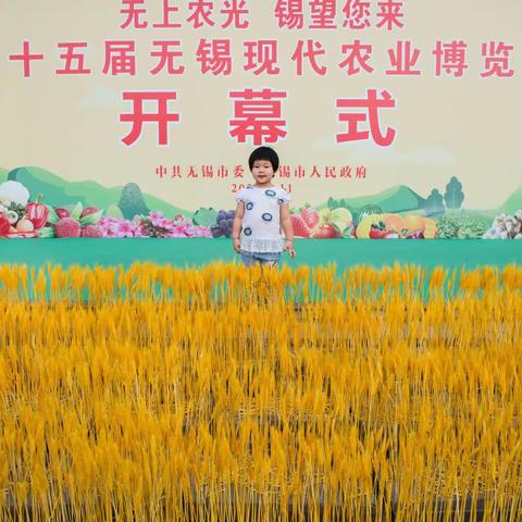 无上农光，锡望你来！不负一秋，如来如愿！（十五届农博会开幕日礼记）