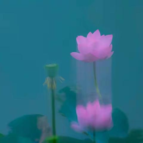 六月，高于夏天