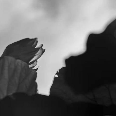 （词）疫情反复何时了