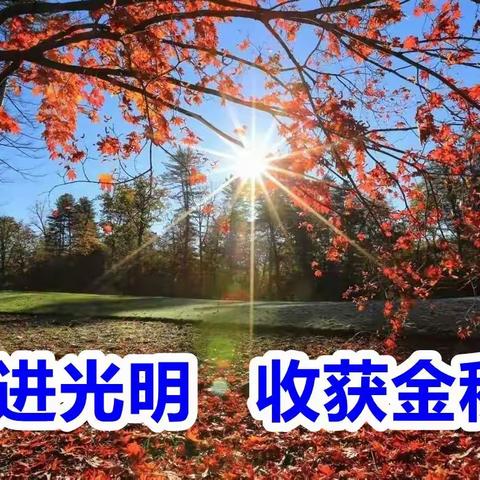 走进光明 收获金秋
