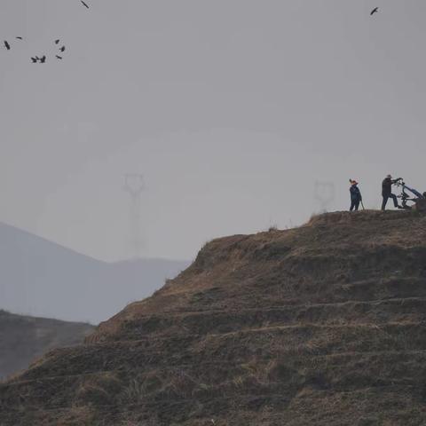 农耕季节——无处不在的神机