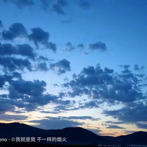 小学道德与法治网络培训