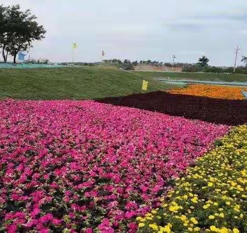 复兴区2019年11月省市重点项目情况