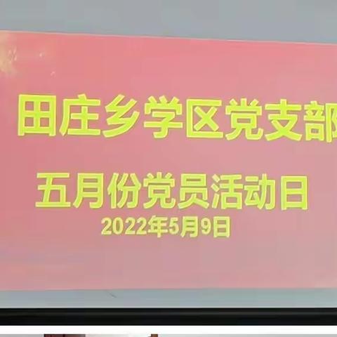 党建引领走在前，乡村振兴做表率—田庄乡学区党支部五月党员活动日