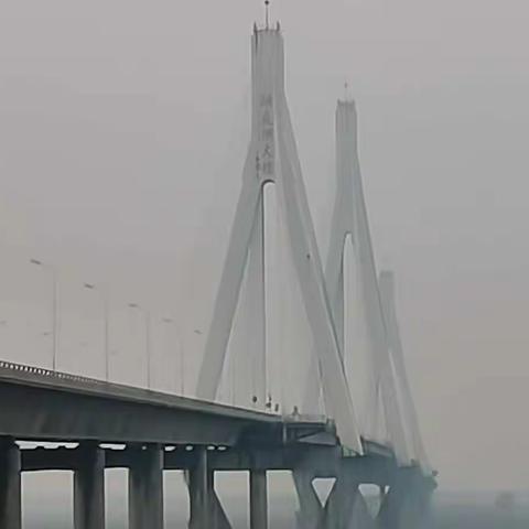 走进岳阳的桥——洞庭湖大桥               东方红小学409班  任浩