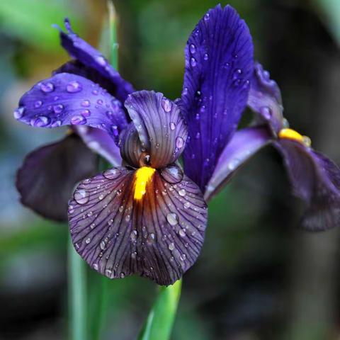 感情，为品牌加分！