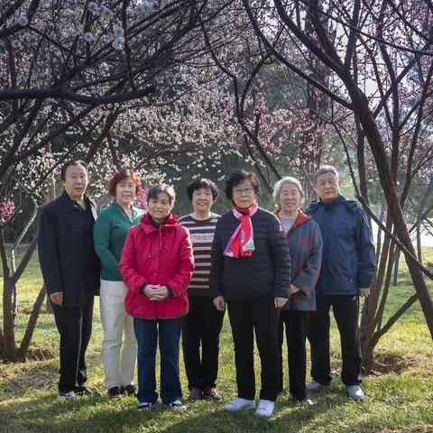 兄弟姐妹一家亲