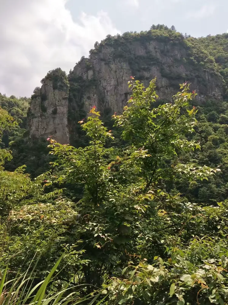 磐安大磐山游记