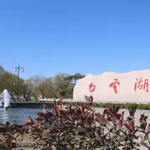 【水乡白云】白云湖街道：以生龙活虎的干劲，书写“大气污染防治”新篇章