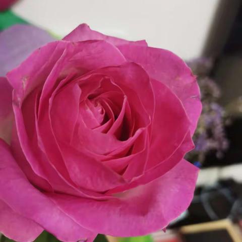 工作中的女神们，美丽健康快乐