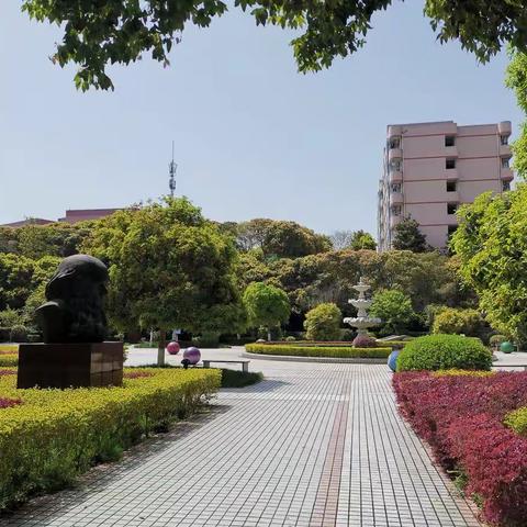 2022年暑假致学生暨家长们的一封信