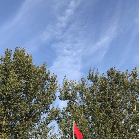 固安县柳泉镇北市小学抗击疫情——行动在身边