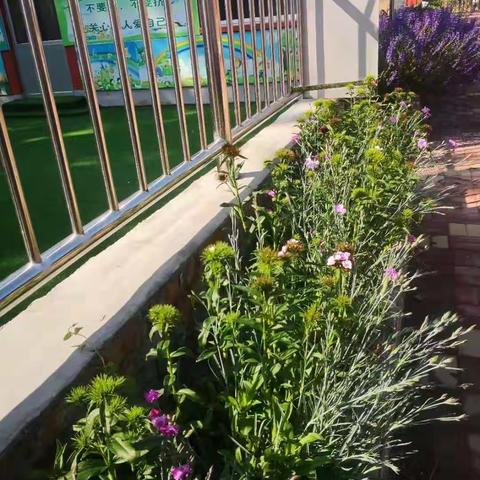 童真·童趣·快乐起飞