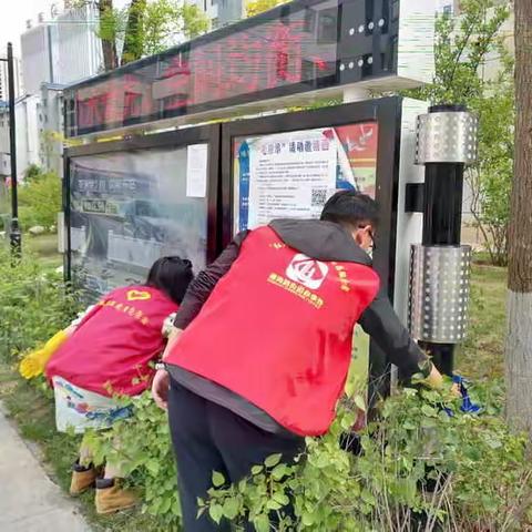 美丽家园大家建 清洗活动共参与