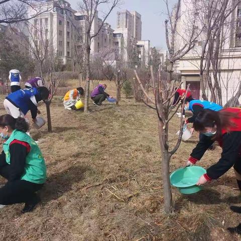 护林爱林为大家  志愿服务先锋行