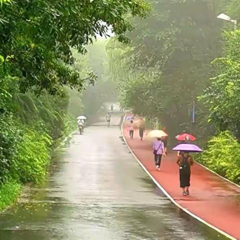 雨中行，雨中景，烟雨朦胧别样情