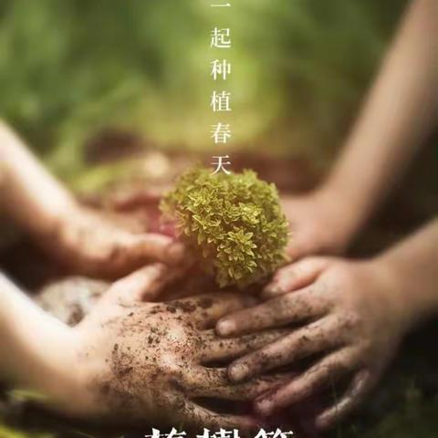 植树节---拥抱春天，共赴美好