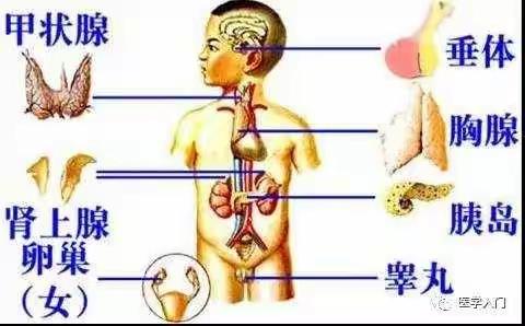 周二疑难病例讨论多发性内分泌腺瘤病1型