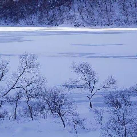 雪的探究