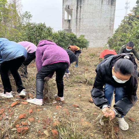 付桥小学开展综合劳动实践活动