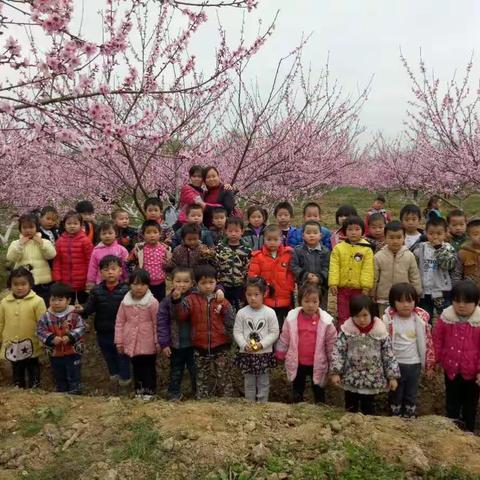 跨世纪艺术幼儿园：桃花朵朵开，带上大二班宝贝向快乐出发啦！