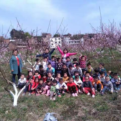 跨世纪艺术幼儿园：游桃花源，十里桃花满天飞舞