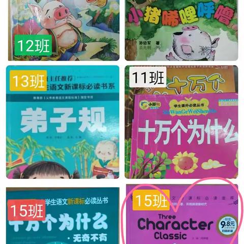 阅读丰盈人生   分享积淀智慧——二实小“整本书阅读汇报分享”活动掠影