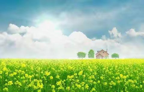 停课不停学   我们共成长