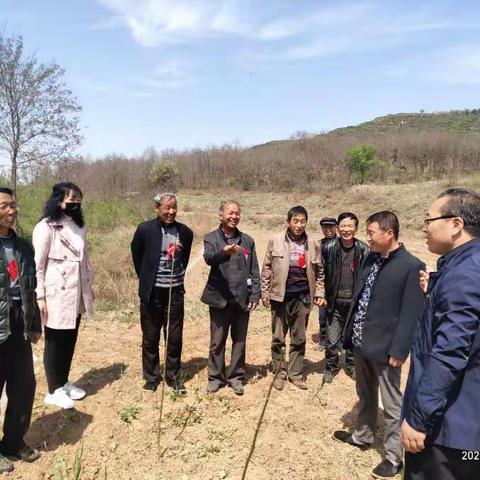 韩家镇先锋村“党员带头当模范，果园管护我先行”新时代文明实践服务在行动