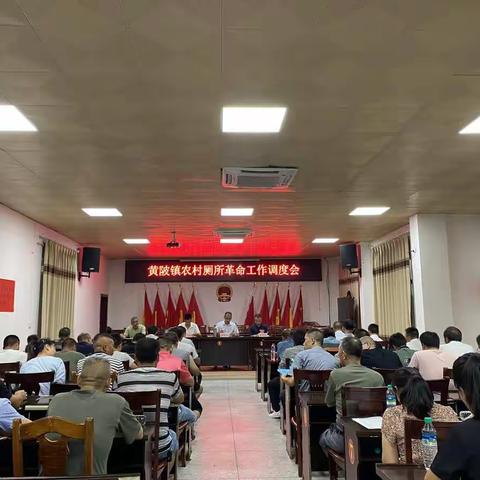 黄陂镇全面推进农村户厕问题摸排整改“回头看”工作