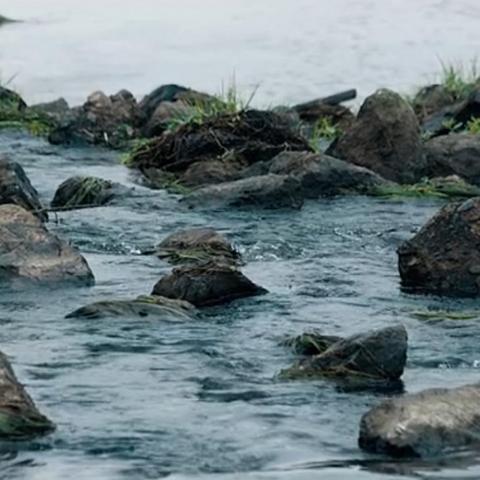 沥沥堰中风，潺潺白沙溪——观《白沙溪》有感