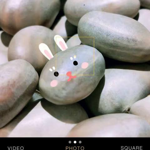 我的拍着玩系列