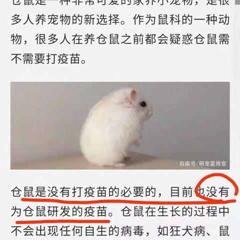 被咬破？狂犬病？疫苗？