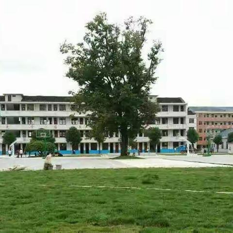 加强安全教育，确保平安每一天