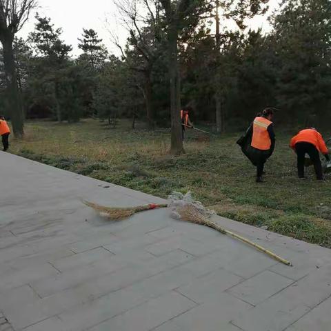 环卫科12月13日工作动态