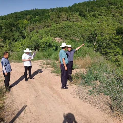 关山林场：草长莺飞    撒播希望