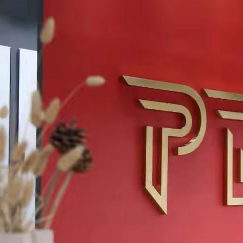 帕德尼 750*1500素色质感砖