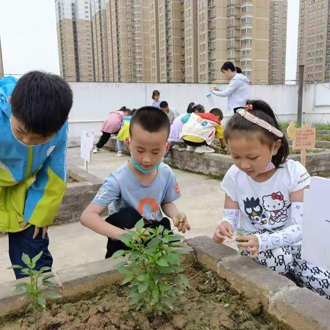 一五班   《劳动最光荣》