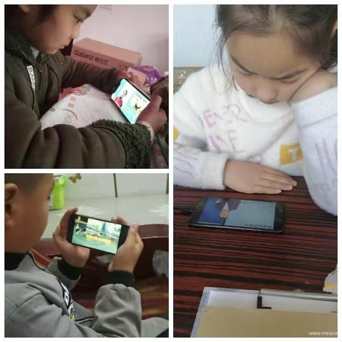 王岗小学四年级网络教学概况