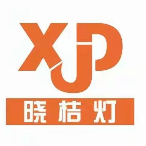 晓桔灯幼儿园开展幼儿游戏案例学习研讨教研活动