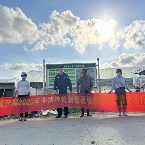 东山镇溪头村委会开展第一季度非法种植制毒原植物踏查铲除专项行动