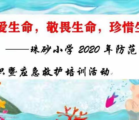 关爱生命，敬畏生命，珍惜生命--珠砂小学2020年防范溺水知识暨应急救护培训活动