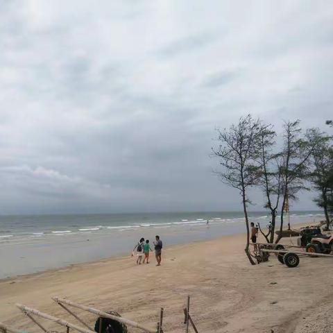 北海银滩赶海记 ——东城小学五年级60中队冯乐妮暑假社会实践报告