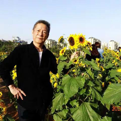 秋游秋拍  多点打卡